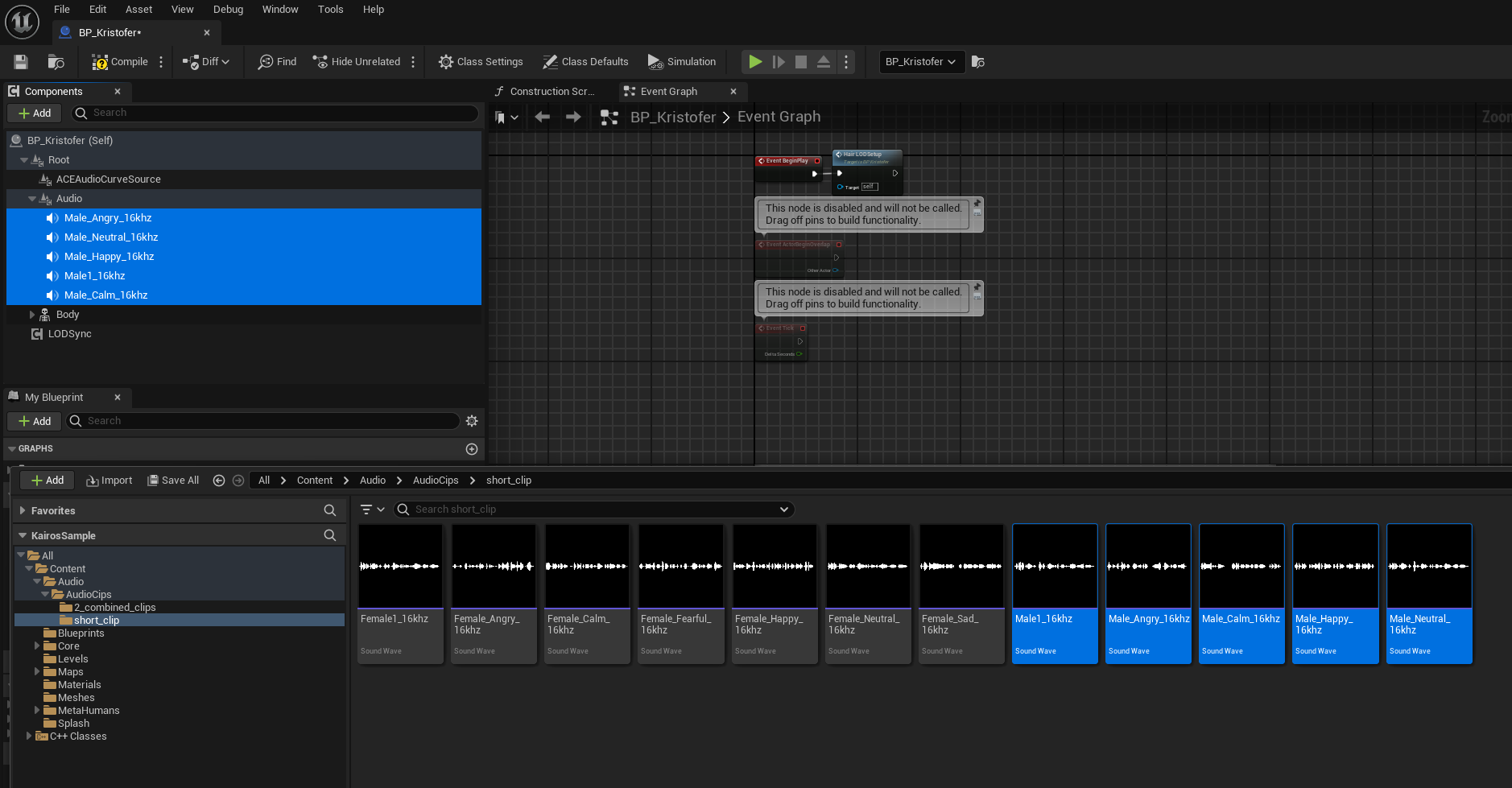 _images/kairos_audio_components.png