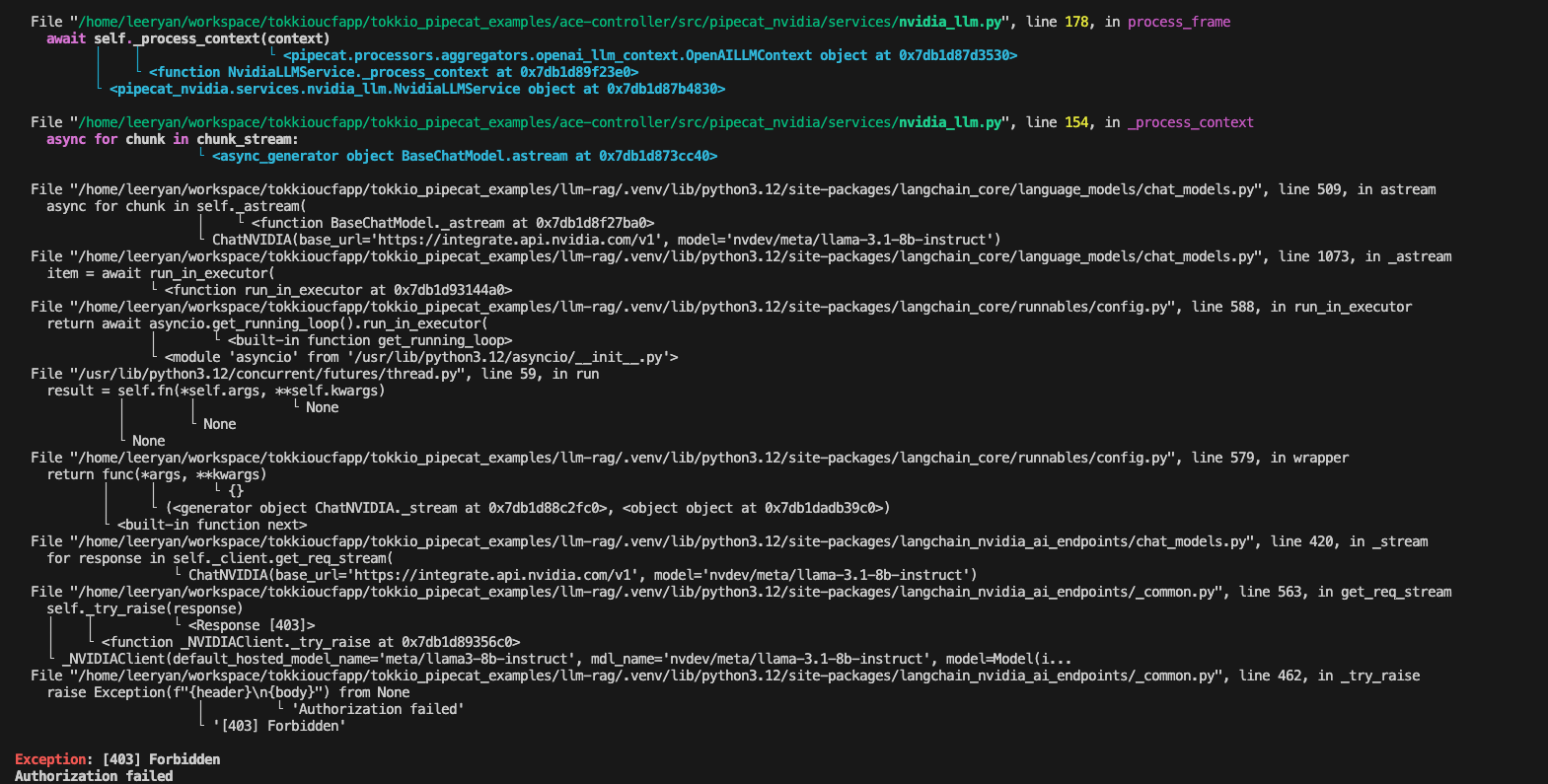 Tokkio NVIDIA API Key error
