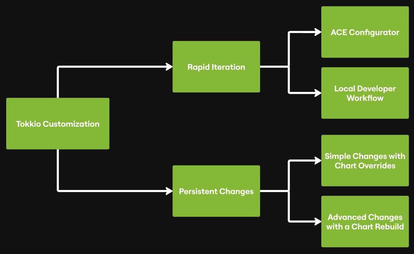 The Tokkio Customization Workflows.