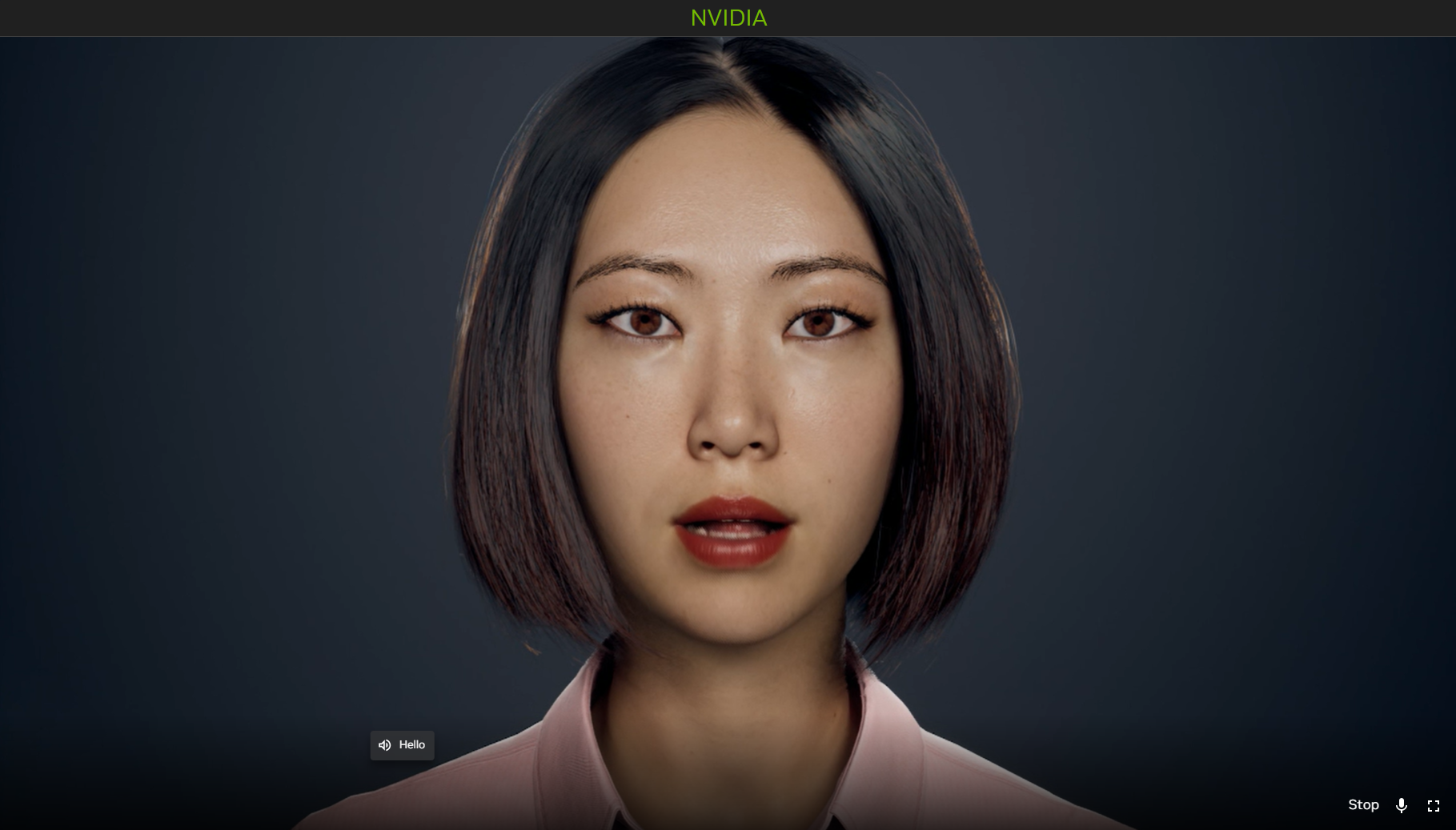 The Tokkio UI