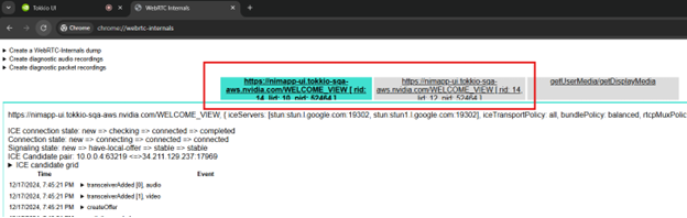 WebRTC Internal tabs
