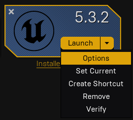 ../_images/unreal-install-options.png