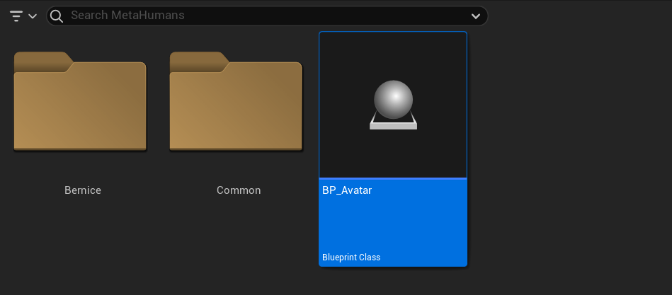 ../_images/unreal_bp-avatar-file.png