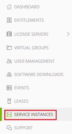 Screen capture showing the Service Instances topic in the navigation pane.