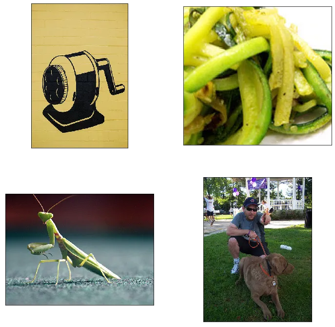 example training images