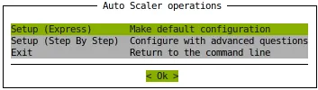 Auto Scaler Setup Operations