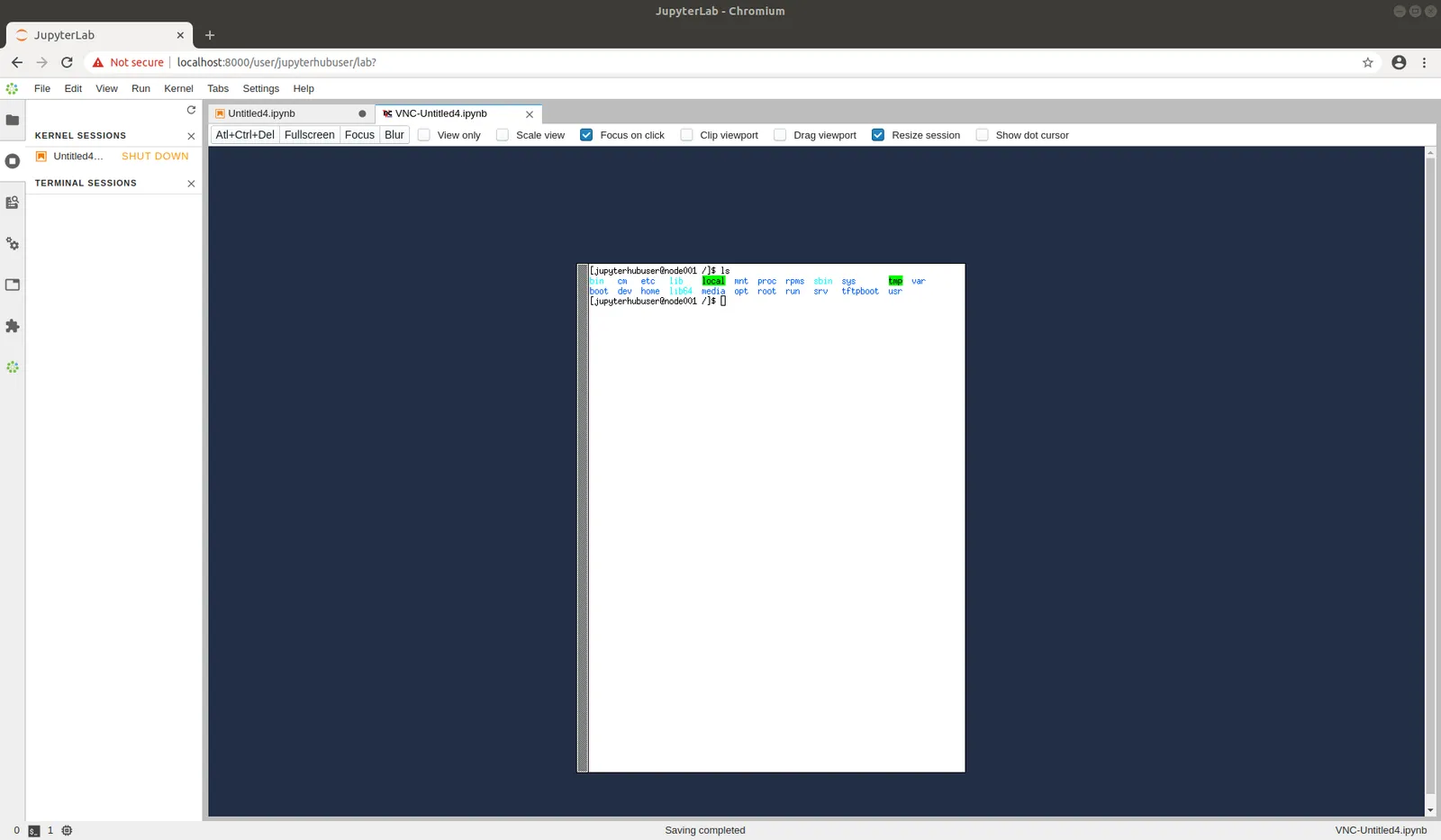 Running Jupyter VNC session from kernel (full-screen)