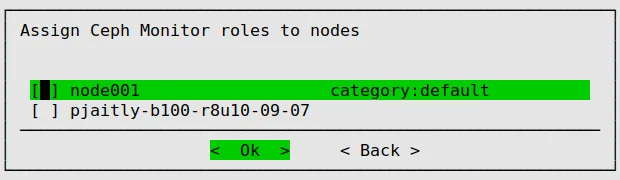 Ceph Installation: Monitors Assignment To Nodes