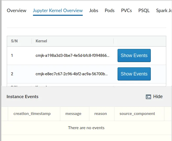 Jupyter Kubernetes Operators Manager: Jupyter kernel overview tab
