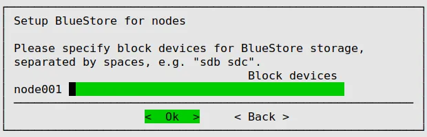 Ceph Installation: Block Devices For BlueStore