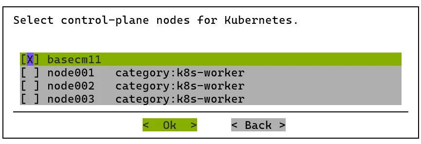 Kubernetes setup TUI session: assigning control-plane nodes