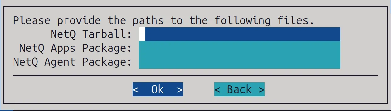 NetQ deployment: setting paths to the installation packages
