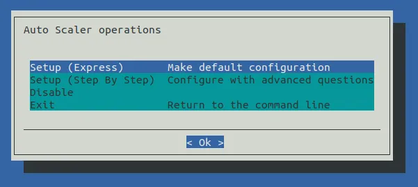 Auto Scaler Setup Operations