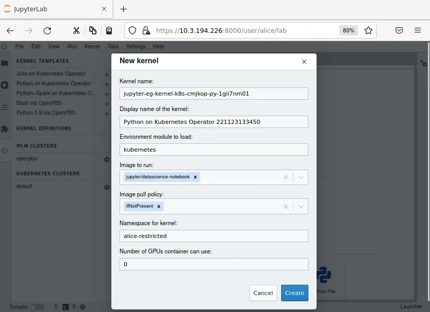 Jupyter kernel template customization screen