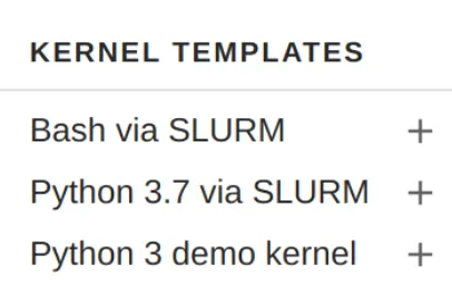New kernel template in the JupyterLab interface