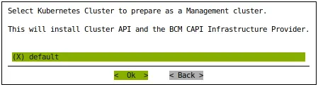 Selection of Kubernetes cluster for installation of the BCM CAPI Infrastructure Provider