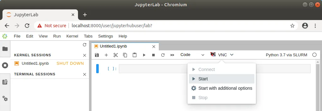 Starting Jupyter VNC session from kernel