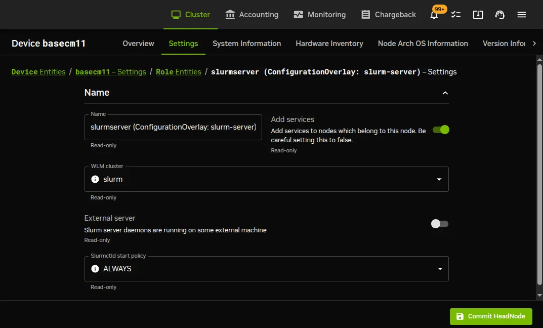 Workload management role assignment on a head node