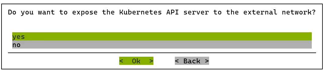 Kubernetes setup TUI session: exposing the Kubernetes API server