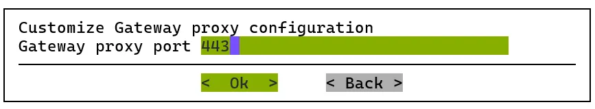 Wizard prompt: Customize Gateway proxy configuration (Gateway proxy port)