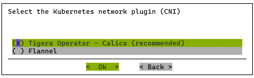 Kubernetes setup TUI session: selecting the CNI network plug-in