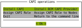 CAPI setup wizard