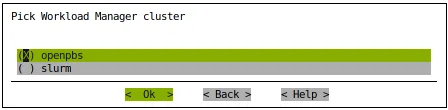 Auto Scaler Setup Workload Manager Selection