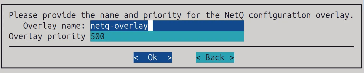NetQ deployment: choosing an overlay