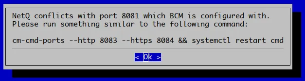 Warning presented if NVIDIA Base Command Manager still uses default port 8081.