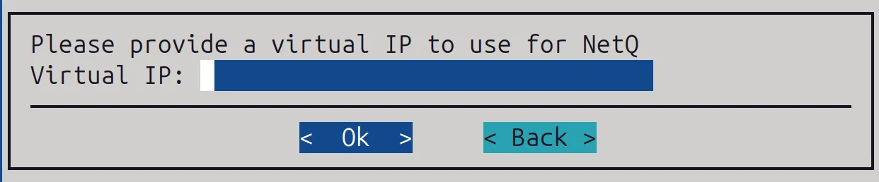 NetQ deployment: setting a virtual IP address