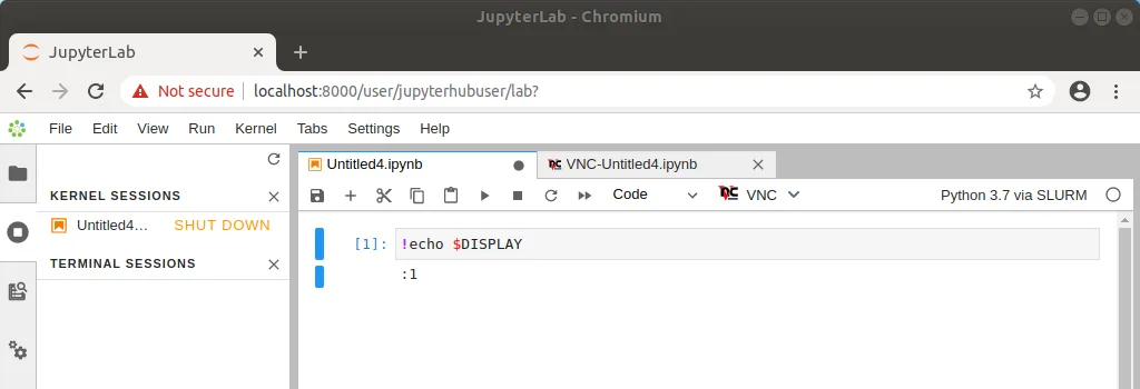 Automatic configuration of DISPLAY environment variable