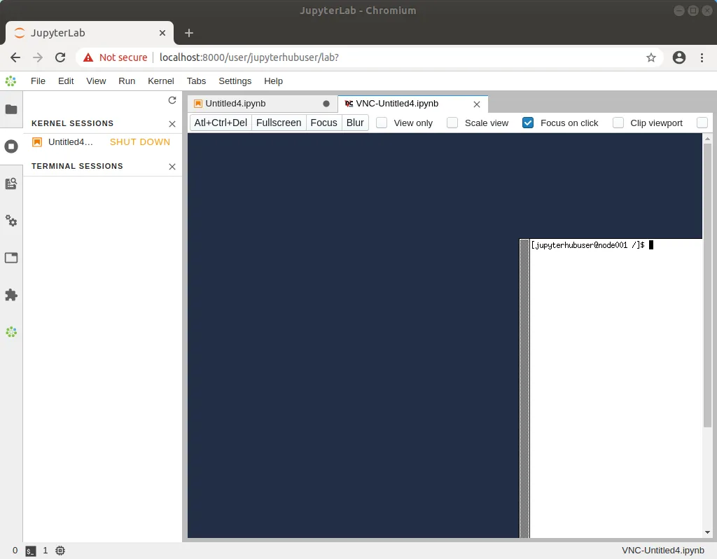 Running Jupyter VNC session from kernel