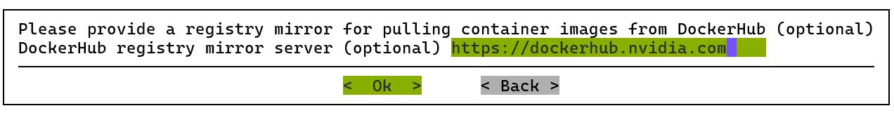 Kubernetes setup TUI session: DockerHub registry mirror