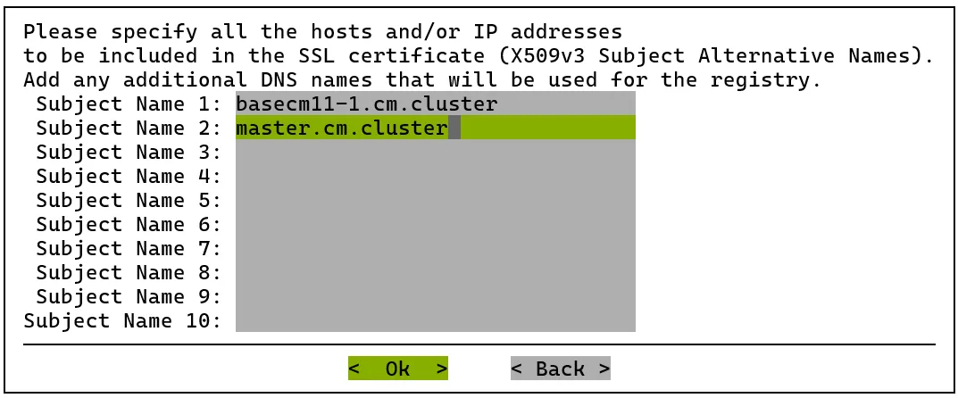 SAN specification for SSL certificate