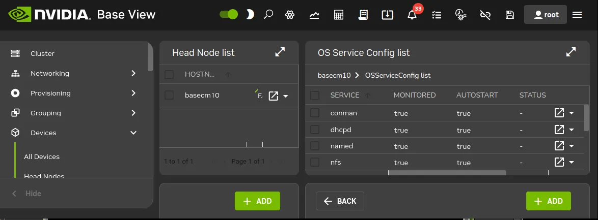 Services seen on head node in Base View