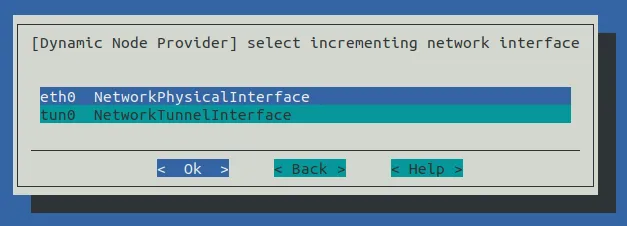Auto Scaler Setup Incremented Network Interface Selection