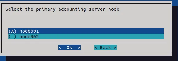 cm-wlm-setup selection of primary accounting node