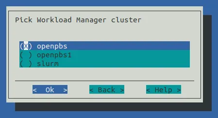 Auto Scaler Setup Workload Manager Selection