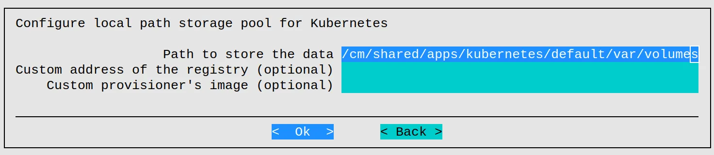 Kubernetes setup TUI session: local storage configuration