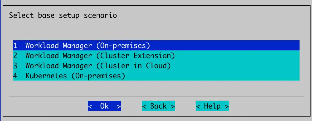 Auto Scaler Setup Scenario Selection