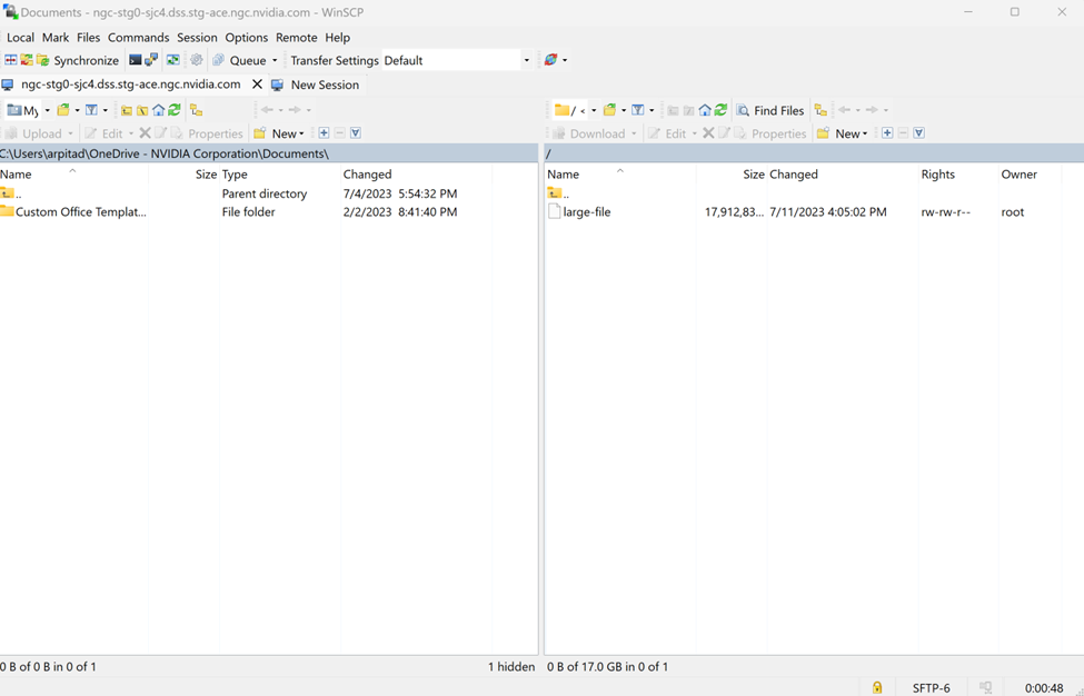 Connecting Workspace Using WinSCP Filesystem