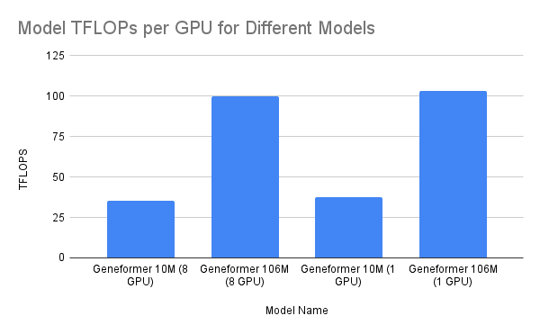 GPU Performance (TFLOPS) Comparison Between Geneformer Model Variants on A100 GPUs