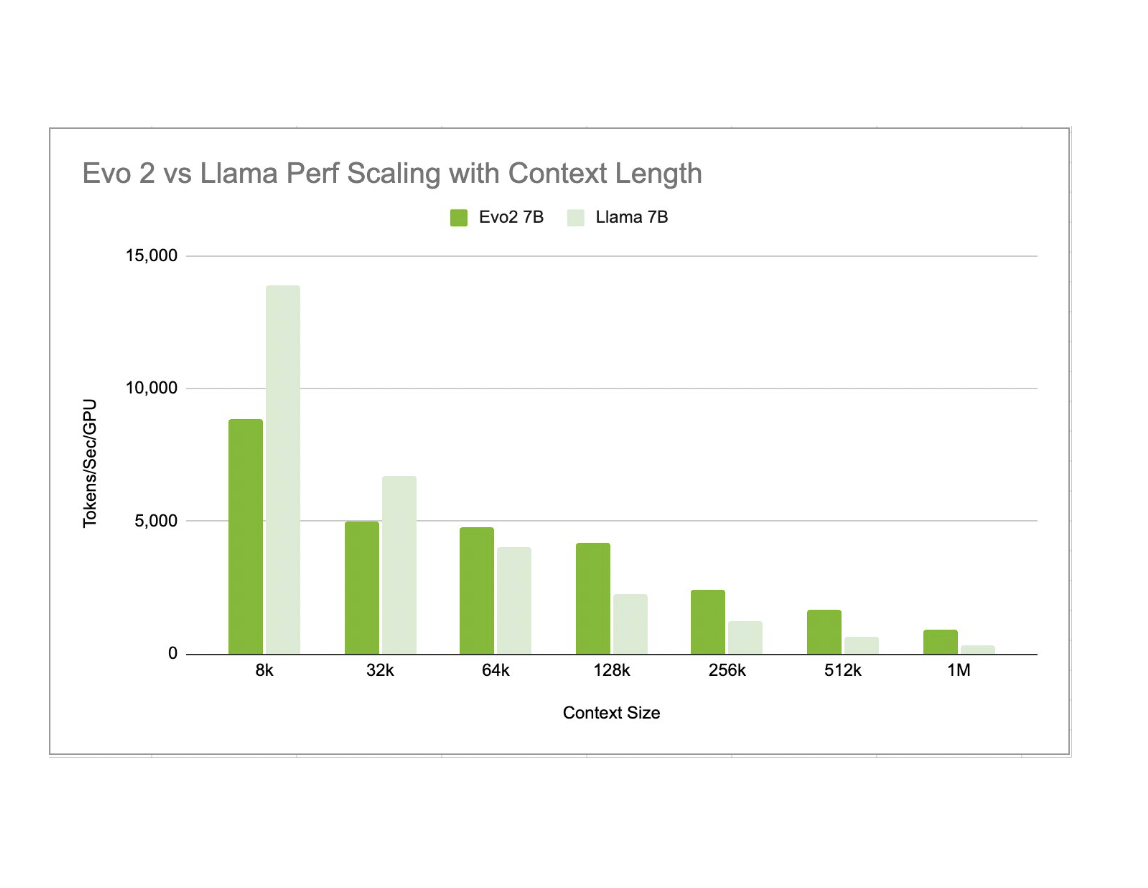Evo2 becomes faster than Llama 2 beyond around 64K context length in this version