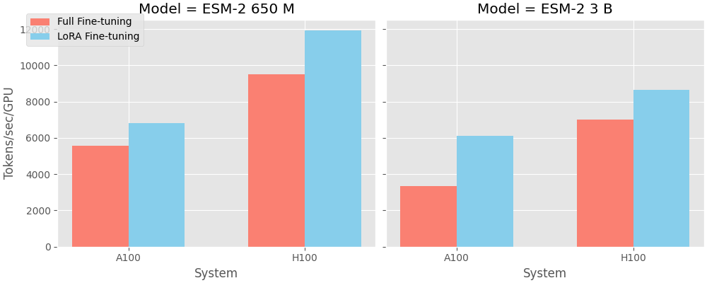 ESM2 Memory Usage