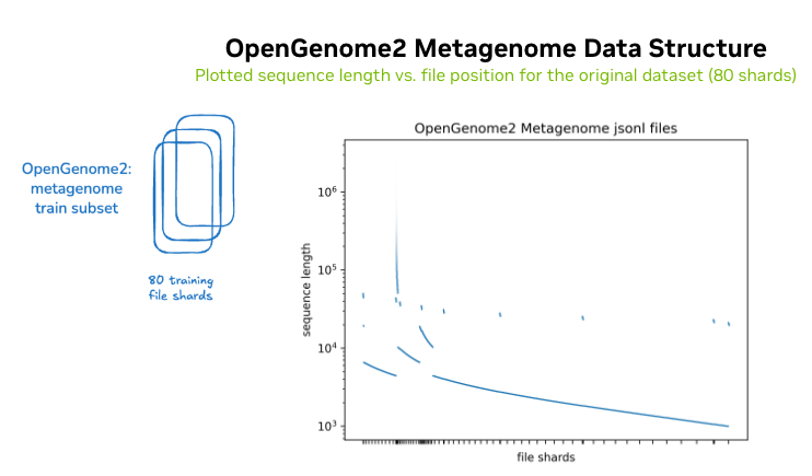 OpenGenome2 sequence length distribution across shards