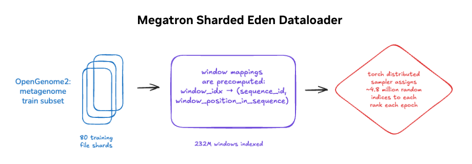 Megatron ShardedEden dataloader