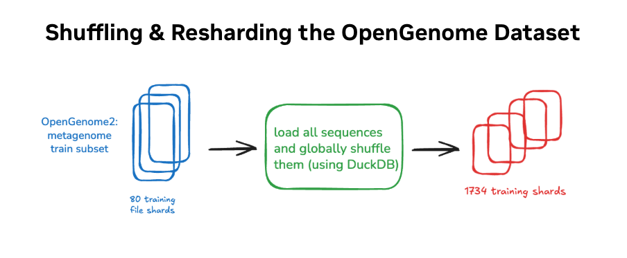 Resharding pipeline with DuckDB