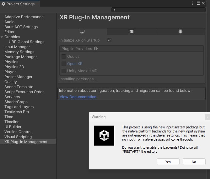 OpenXR Input Warning