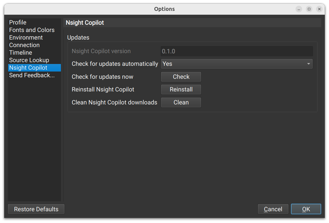 ../_images/nsight-copilot-settings.png