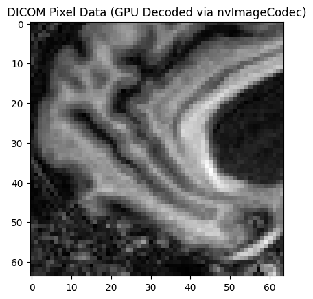 ../_images/samples_DICOM-pydicom_8_2.png
